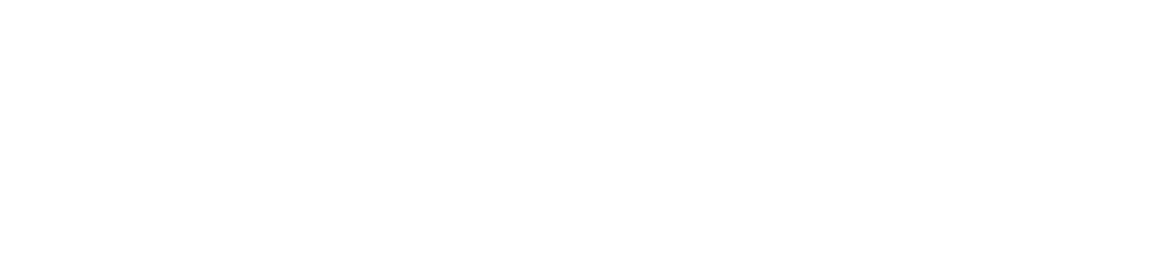 Veriqo AI